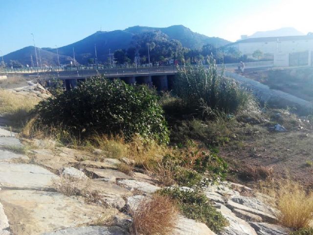 Denuncian que el cauce de la rambla junto a la redonda del colegio San Vicente de Paul presenta un estado lamentable - 1, Foto 1