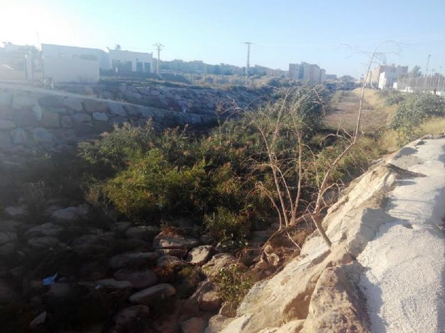 Denuncian que el cauce de la rambla junto a la redonda del colegio San Vicente de Paul presenta un estado lamentable - 2, Foto 2