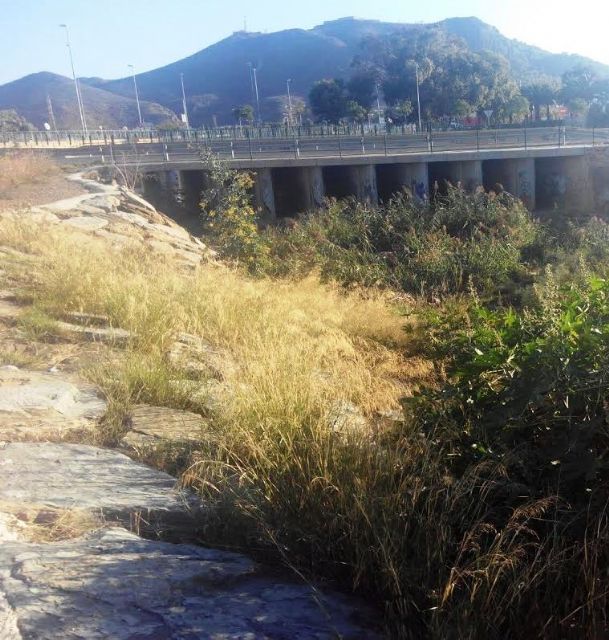 Denuncian que el cauce de la rambla junto a la redonda del colegio San Vicente de Paul presenta un estado lamentable - 3, Foto 3