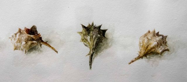 José López y Pedro Antonio Sánchez inauguraron la exposición Peces de Pedro Cano - 5, Foto 5