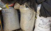 La Guardia Civil detiene a una decena de personas por la sustracción de almendra en fincas de la Región
