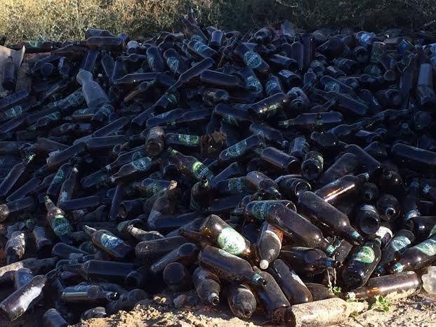 Retiran miles de envases de vidrio que habían sido depositados de forma clandestina en un paraje junto al río Guadalentín, Foto 8