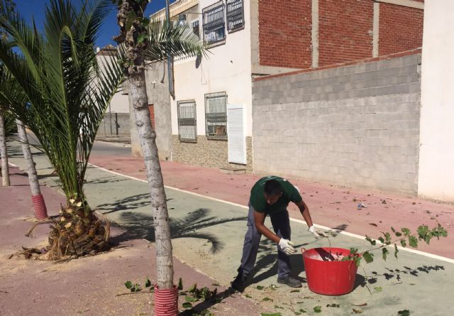 Comienzan en Ceutí las labores de poda de parques y jardines de otoño - 2, Foto 2