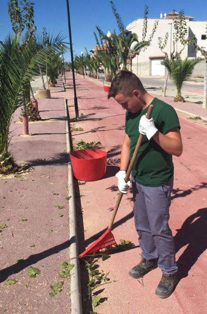 Comienzan en Ceutí las labores de poda de parques y jardines de otoño - 3, Foto 3