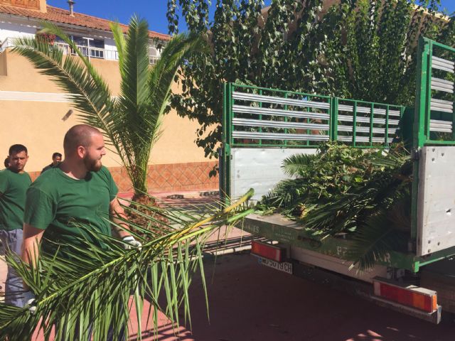 Comienzan en Ceutí las labores de poda de parques y jardines de otoño - 4, Foto 4