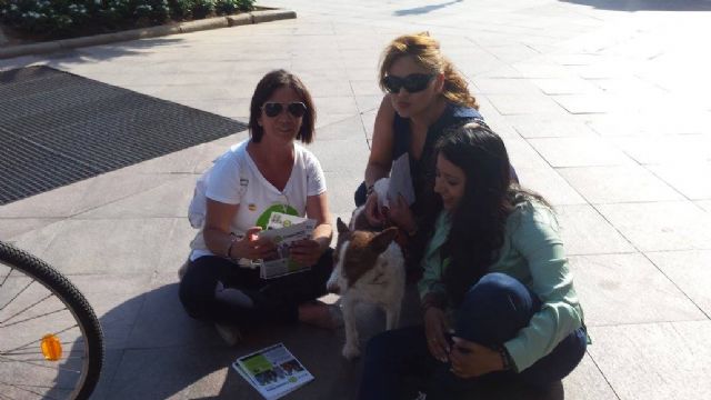 Cambiemos Murcia propone mejoras en el Centro de Zoonosis para reducir “drásticamente” el número de sacrificios - 1, Foto 1