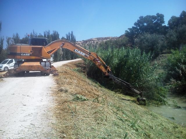 La CHS corta cañas en más de 30 kilómetros del río Segura entre la Contraparada y Ojós - 1, Foto 1
