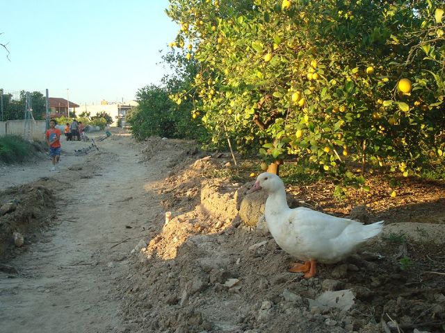 Cambiemos Murcia propone rehabilitar el patrimonio con una escuela taller y la recuperación de la acequia de Raal Viejo - 1, Foto 1