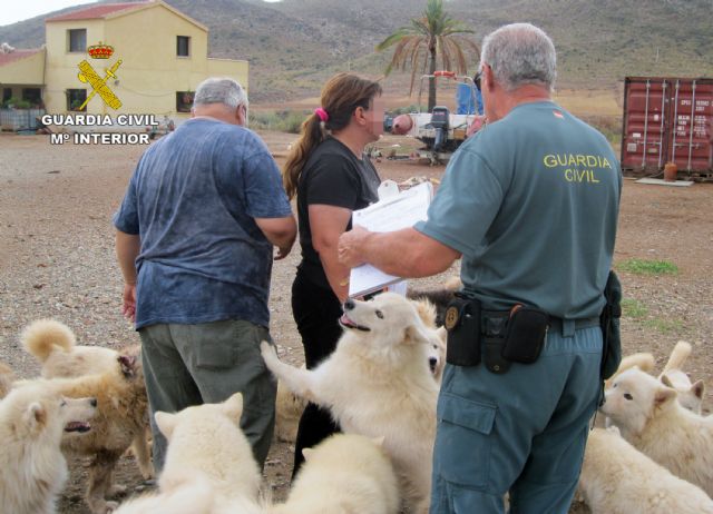 La Guardia Civil desmantela dos perreras clandestinas en Molina de Segura y Mazarrón - 1, Foto 1