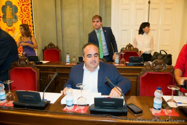 El pleno aprueba la llegada del AVE y el baipás del Reguerón - 3, Foto 3