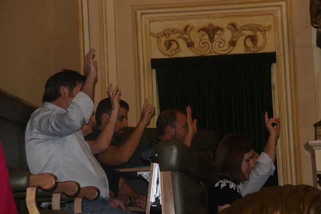 El Pleno aprueba por unanimidad todas las mociones presentadas - 2, Foto 2