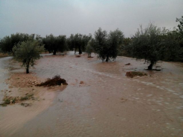Agricultura hace un primer balance de la granizada del domingo - 1, Foto 1