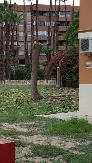 Cambiemos Murcia pide explicaciones sobre la tala de siete árboles en la estación de tren - 1, Foto 1