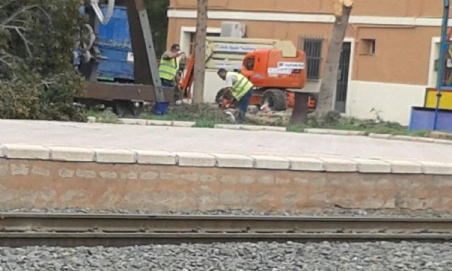 Cambiemos Murcia pide explicaciones sobre la tala de siete árboles en la estación de tren - 2, Foto 2