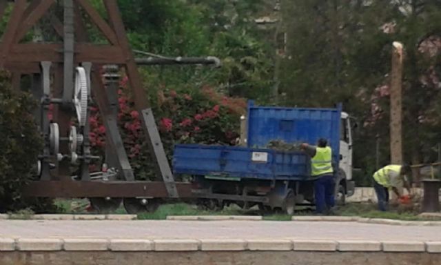 Cambiemos Murcia pide explicaciones sobre la tala de siete árboles en la estación de tren - 3, Foto 3