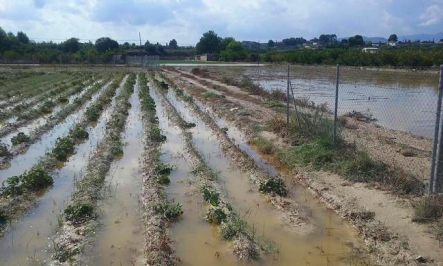 El Ayuntamiento de Ceutí pedirá una indemnización a la CHS por la inundación en Los Torraos - 1, Foto 1