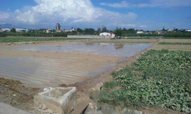 El Ayuntamiento de Ceutí pedirá una indemnización a la CHS por la inundación en Los Torraos - 2, Foto 2