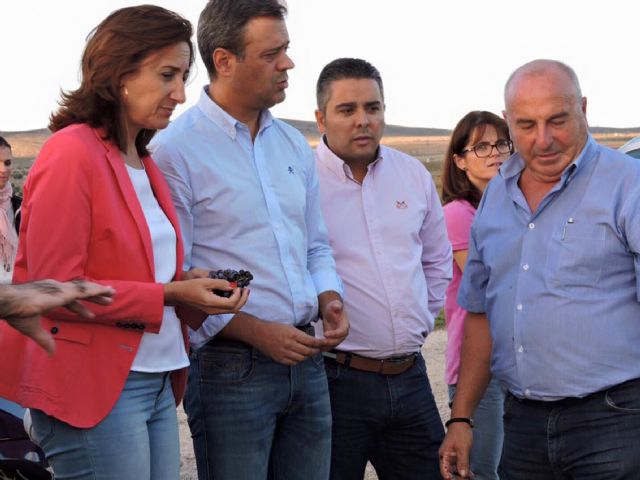 El Ayuntamiento solicitara al ministerio de Agricultura ayudas  extraordinarias para paliar los daños de la pasada tormenta - 1, Foto 1