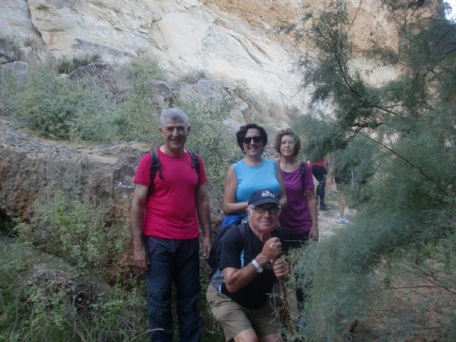 33 personas participaron en una ruta senderista por Mula y Albudeite, Foto 6