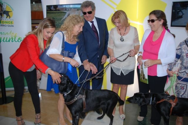 Violante Tomás destaca el impulso de la Ley de perros de asistencia para promover la autonomía de las personas con discapacidad - 1, Foto 1