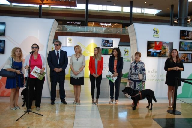 Violante Tomás destaca el impulso de la Ley de perros de asistencia para promover la autonomía de las personas con discapacidad - 2, Foto 2