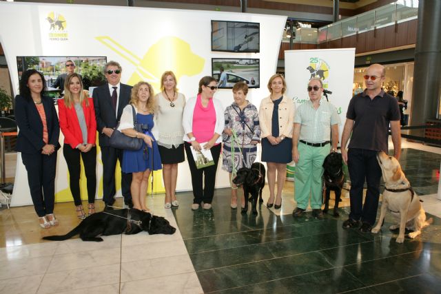 Los perros guía de la ONCE en CC Thader - 1, Foto 1