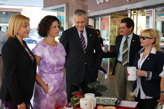 El Gobierno se suma al Día de la Banderita - 1, Foto 1