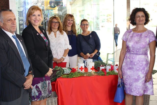 El Gobierno se suma al Día de la Banderita - 2, Foto 2