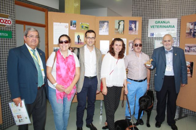 170 veterinarios participan en el II Congreso sobre Nuevas Tecnologías en la clínica de animales de compañía - 1, Foto 1