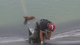 Bomberos del CEIS rescatan a 2 perros que hab�an ca�do a una balsa en Mazarr�n