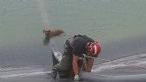 Bomberos del CEIS rescatan a 2 perros que haban cado a una balsa en Mazarrn