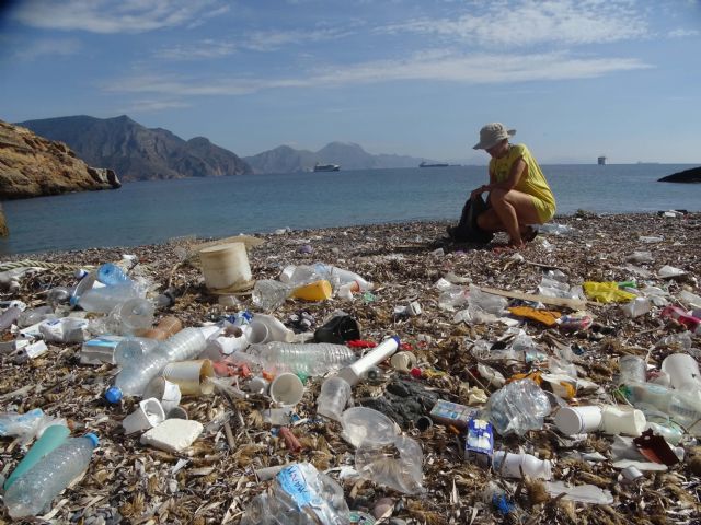 Cala Salitrona deja de ser nuevamente un vertedero costero, al menos durante un tiempo - 3, Foto 3