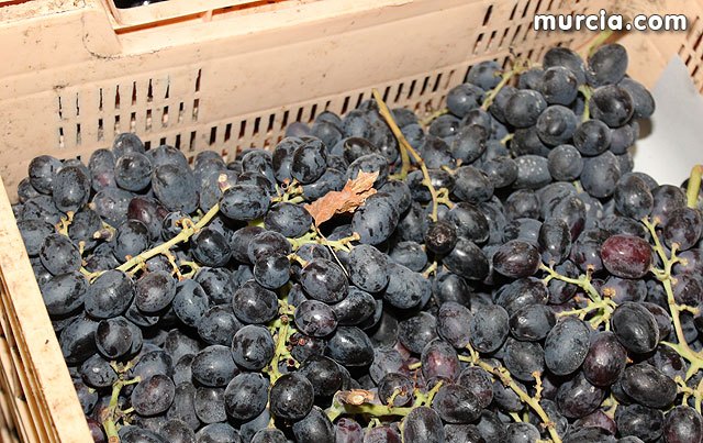 Tovar espera que el PP vote en el Senado a favor de las enmiendas socialistas a los PGE, Foto 1