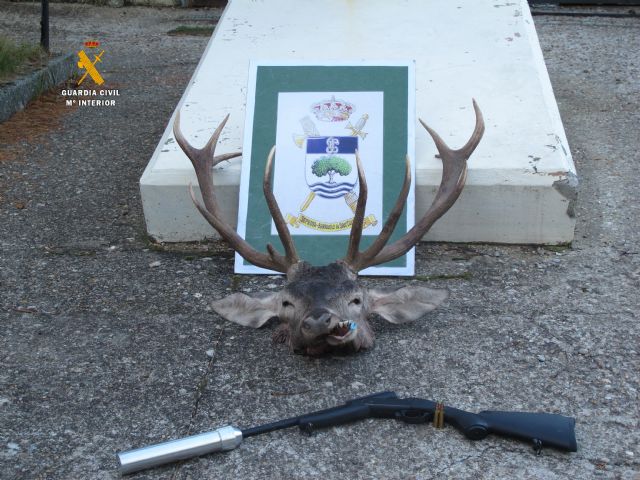La Guardia Civil durante los últimos días, ha efectuado diversos servicios, para la erradicación y prevención del furtivismo de caza - 1, Foto 1