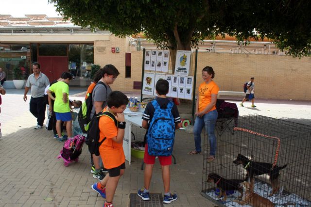 Alcantarilla conmemora el Día Mundial de los Animales, con un punto informativo sobre adopciones - 2, Foto 2