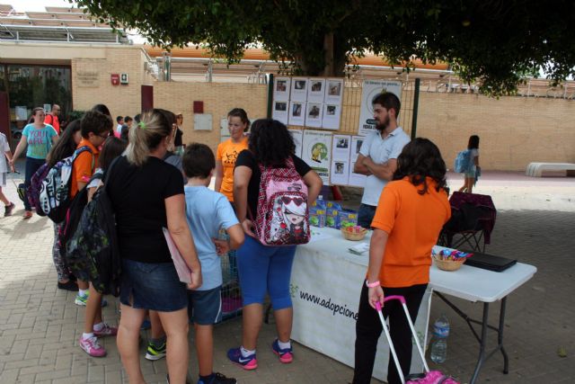 Alcantarilla conmemora el Día Mundial de los Animales, con un punto informativo sobre adopciones - 3, Foto 3
