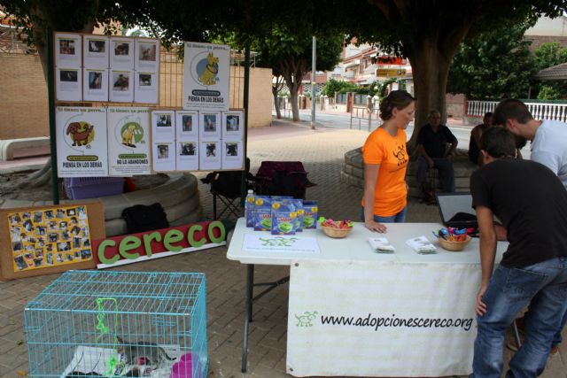 Alcantarilla conmemora el Día Mundial de los Animales, con un punto informativo sobre adopciones - 4, Foto 4