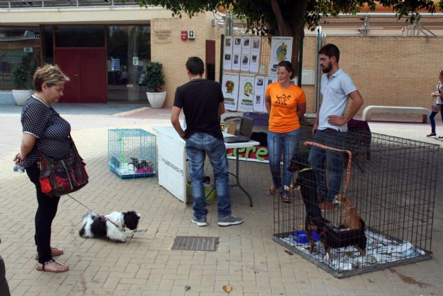 Alcantarilla conmemora el Día Mundial de los Animales, con un punto informativo sobre adopciones - 5, Foto 5