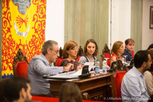 El Pleno ratifica la bajada de tributos para 2016 - 4, Foto 4