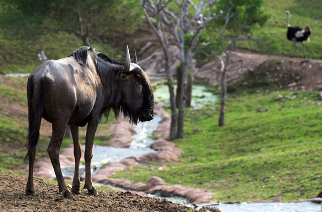 Terra Natura Murcia se suma a las actividades de la Bienvenida Universitaria - 1, Foto 1