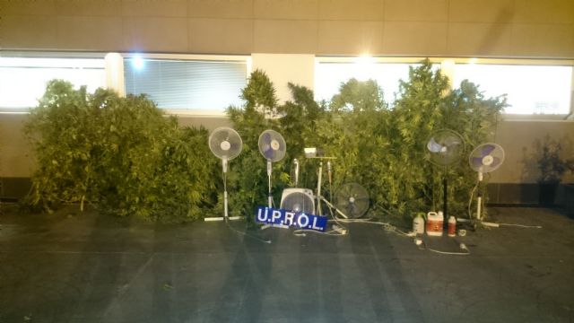La Policía Local interviene una explotación intensiva con 28 plantas de marihuana, intercepta 2 kilos de cogollos de cannabis, detiene a 2 personas y sanciona a otras 3 - 1, Foto 1
