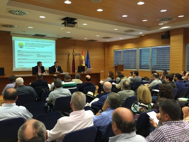 Medio Ambiente convoca a un grupo de expertos para el estudio de filtros verdes contra la contaminación del Mar Menor - 1, Foto 1