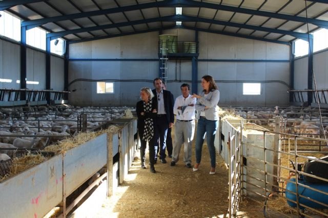 El sector ovino y caprino regional supone el 10,7 por ciento de la producción final ganadera y genera 78 millones de euros - 1, Foto 1