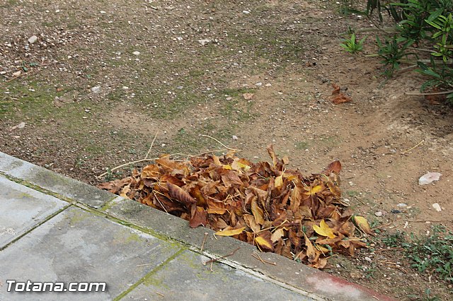 Un total de 57 peones agrcolas participan en el primero de los tres turnos del programa de los 