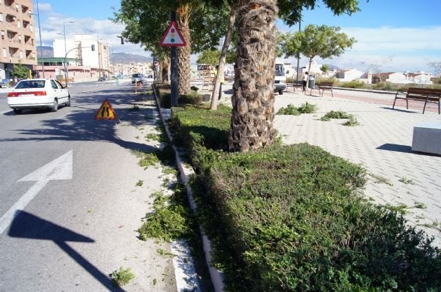 Realizan trabajos del mantenimiento de la jardinería en los espacios verdes de la avenida Juan Carlos I, Foto 2