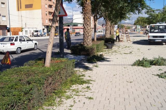 Realizan trabajos del mantenimiento de la jardinería en los espacios verdes de la avenida Juan Carlos I, Foto 3