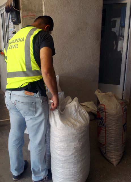 Cae un grupo delictivo dedicado a la sustracción y comercialización ilícita de almendra, Foto 6