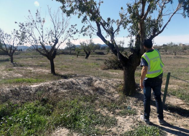 Cae un grupo delictivo dedicado a la sustracción y comercialización ilícita de almendra, Foto 7