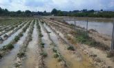El Ayuntamiento de Ceutí solicita una indemnización a la CHS por la inundación en Los Torraos
