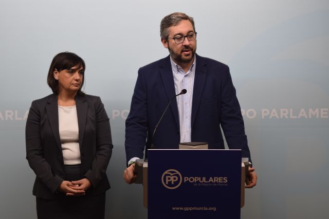El GPP insiste en trabajar cinco días en la Asamblea a pesar del rechazo del tripartito - 1, Foto 1